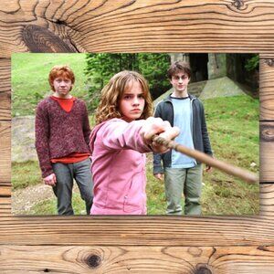 Harry Potter, Hermione Granger & Ron‎ Weasley Refrigerator Locker Fridge Magnet